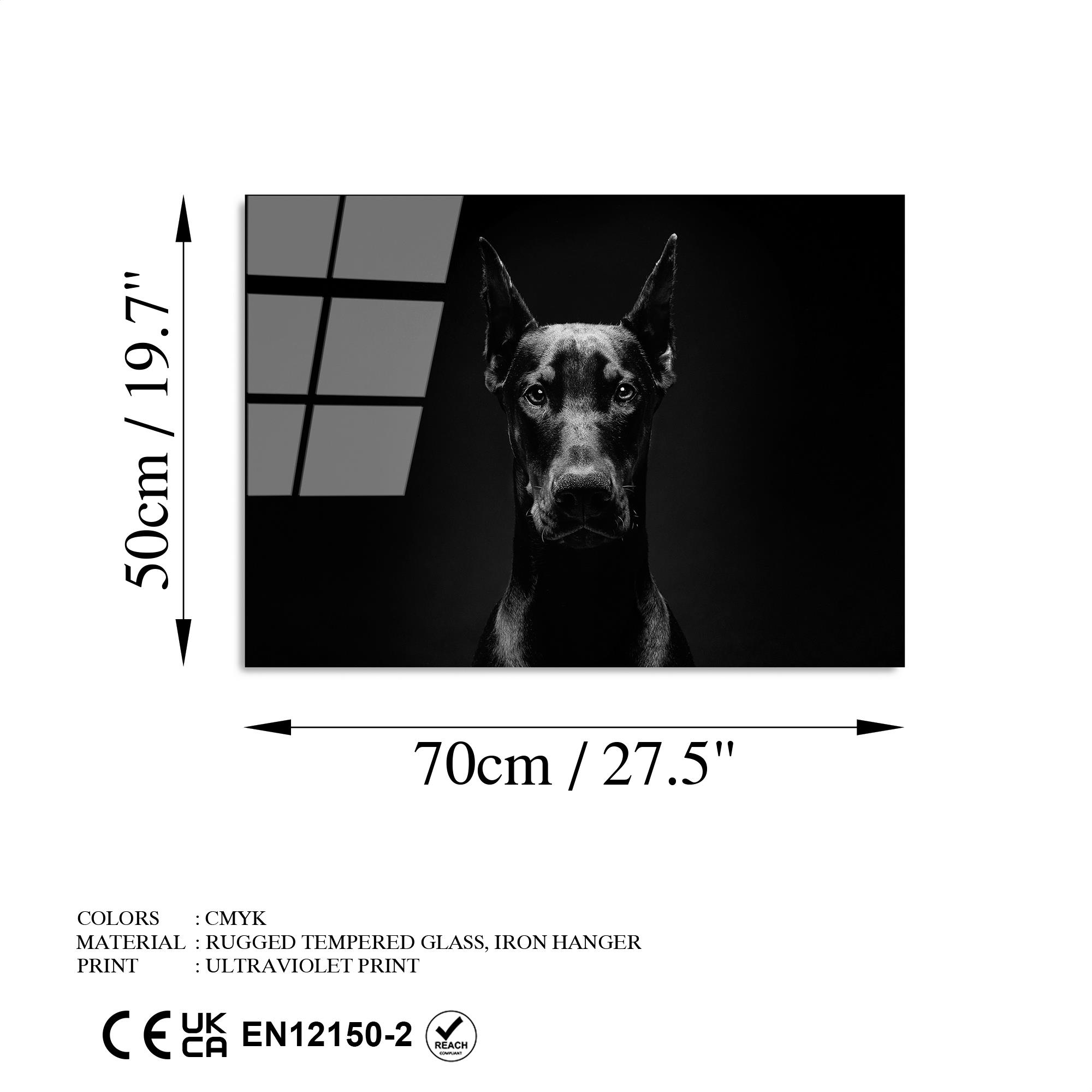 Uv-280 Uv Baskılı Camlar Uv-280-50X70