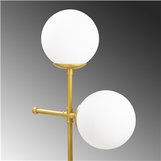 Camlı 2Li Masa Lambası Mat Gold Mudonı-Mr-954
