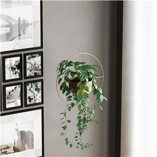 Dekoratif Metal Saksılık,Askılı Ayarlanabilir Yuvarlak Sarkıt Modern Kaktüs Çiçeklik,GED-027-A