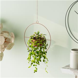 Dekoratif Metal Saksılık,Askılı Ayarlanabilir Yuvarlak Sarkıt Modern Kaktüs Çiçeklik,GED-027-B