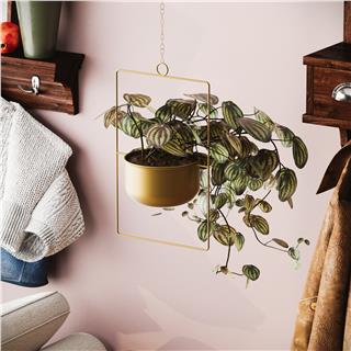 Dekoratif Metal Saksılık,Askılı Ayarlanabilir Dikdörtgen Sarkıt Modern Kaktüs Çiçeklik,GED-028-A