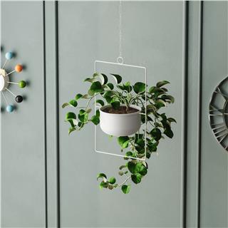 Dekoratif Metal Saksılık,Askılı Ayarlanabilir Dikdörtgen Sarkıt Modern Kaktüs Çiçeklik,GED-028-C