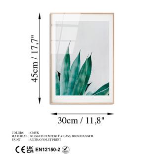 Uv-1051 Uv Baskılı Camlar Uv-1051-30X45