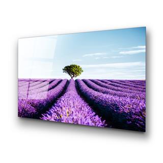 Uv-107 Uv Baskılı Camlar Uv-107-70X100
