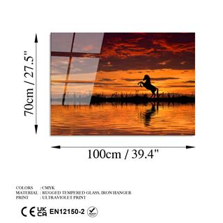 Uv-109 Uv Baskılı Camlar Uv-109-70X100