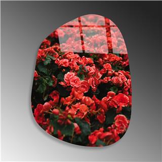 Uv-1093 Uv Baskılı Camlar Uv-1093-50X70