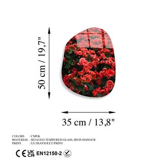 Uv-1113 Uv Baskılı Camlar Uv-1113-35X50