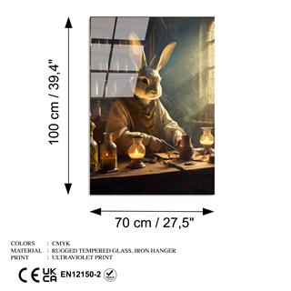 Uv-1186 Uv Baskılı Camlar Uv-1186-70X100