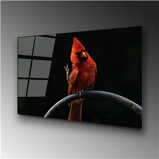 Uv-146 Uv Baskılı Camlar Uv-146-70X100