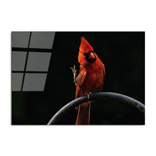Uv-146 Uv Baskılı Camlar Uv-146-70X100