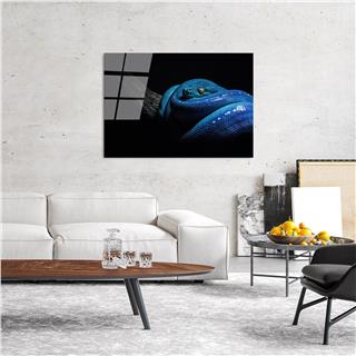 Uv-148 Uv Baskılı Camlar Uv-148-70X100