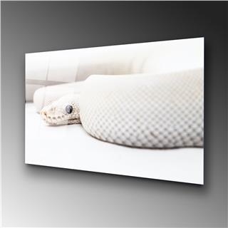 Uv-153 Uv Baskılı Camlar Uv-153-70X100