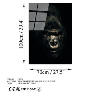 Uv-160 Uv Baskılı Camlar Uv-160-70X100