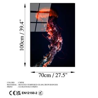 Uv-165 Uv Baskılı Camlar Uv-165-70X100