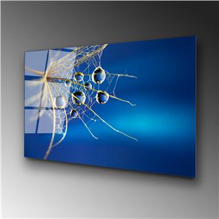 Uv-176 Uv Baskılı Camlar Uv-176-70X100
