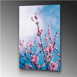 Uv-186 Uv Baskılı Camlar Uv-186-70X100