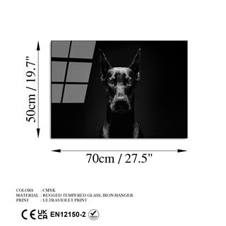 Uv-280 Uv Baskılı Camlar Uv-280-50X70