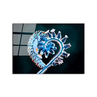 Uv-283 Uv Baskılı Camlar Uv-283-50X70