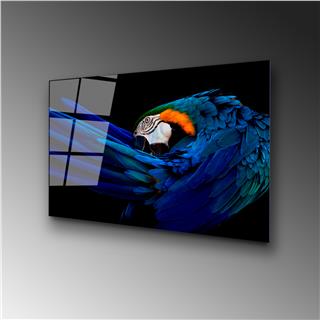 Uv-285 Uv Baskılı Camlar Uv-285-50X70