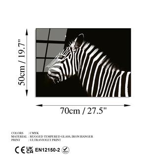 Uv-290 Uv Baskılı Camlar Uv-290-50X70