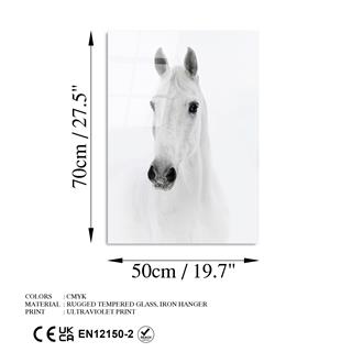 Uv-295 Uv Baskılı Camlar Uv-295-50X70