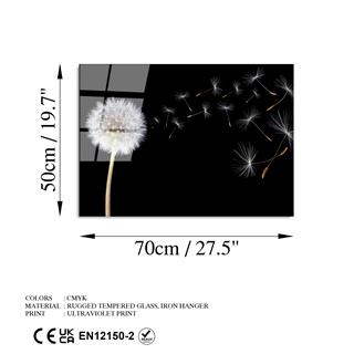 Uv-425 Uv Baskılı Camlar Uv-425-50X70
