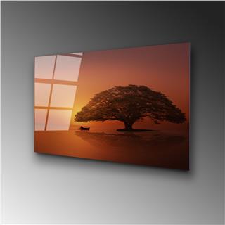 Uv-451 Uv Baskılı Camlar Uv-451-50X70