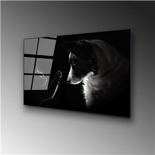 Uv-453 Uv Baskılı Camlar Uv-453-50X70