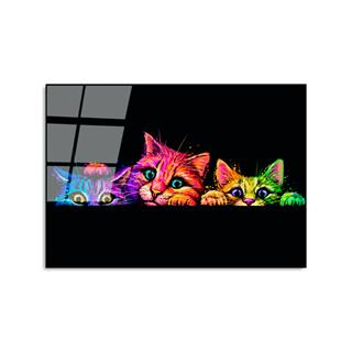 Uv-463 Uv Baskılı Camlar Uv-463-50X70