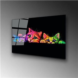 Uv-463 Uv Baskılı Camlar Uv-463-50X70