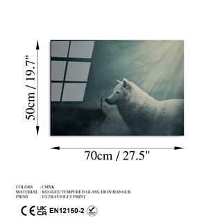 Uv-465 Uv Baskılı Camlar Uv-465-50X70