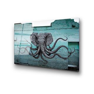 Uv-481 Uv Baskılı Camlar Uv-481-45X65