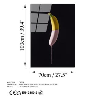 Uv-739 Uv Baskılı Camlar Uv-739-70X100