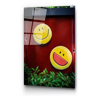 Uv-808 Uv Baskılı Camlar Uv-808-70X100