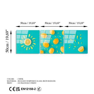 Uv-854 Uv Baskılı Camlar Uv-854-50X50