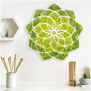 Yosun Duvar Dekorları Yns-005