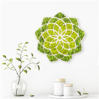Yosun Duvar Dekorları Yns-005
