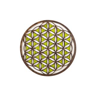 Yosun Duvar Dekorları Yns-007