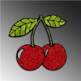 Yosun Duvar Dekorları Yns-024