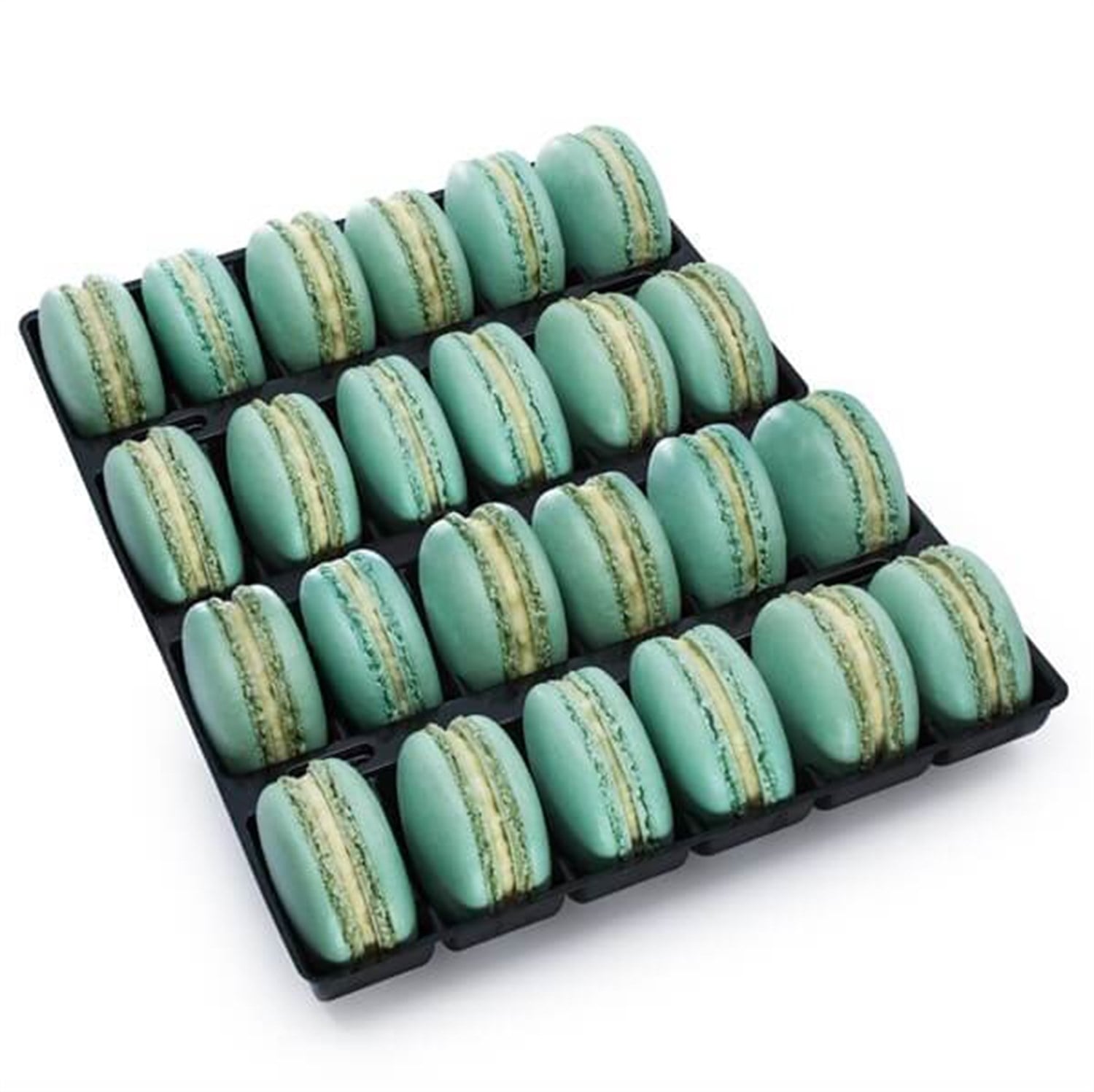 24 LÜ HİNDİSTAN CEVİZLİ MAKARON