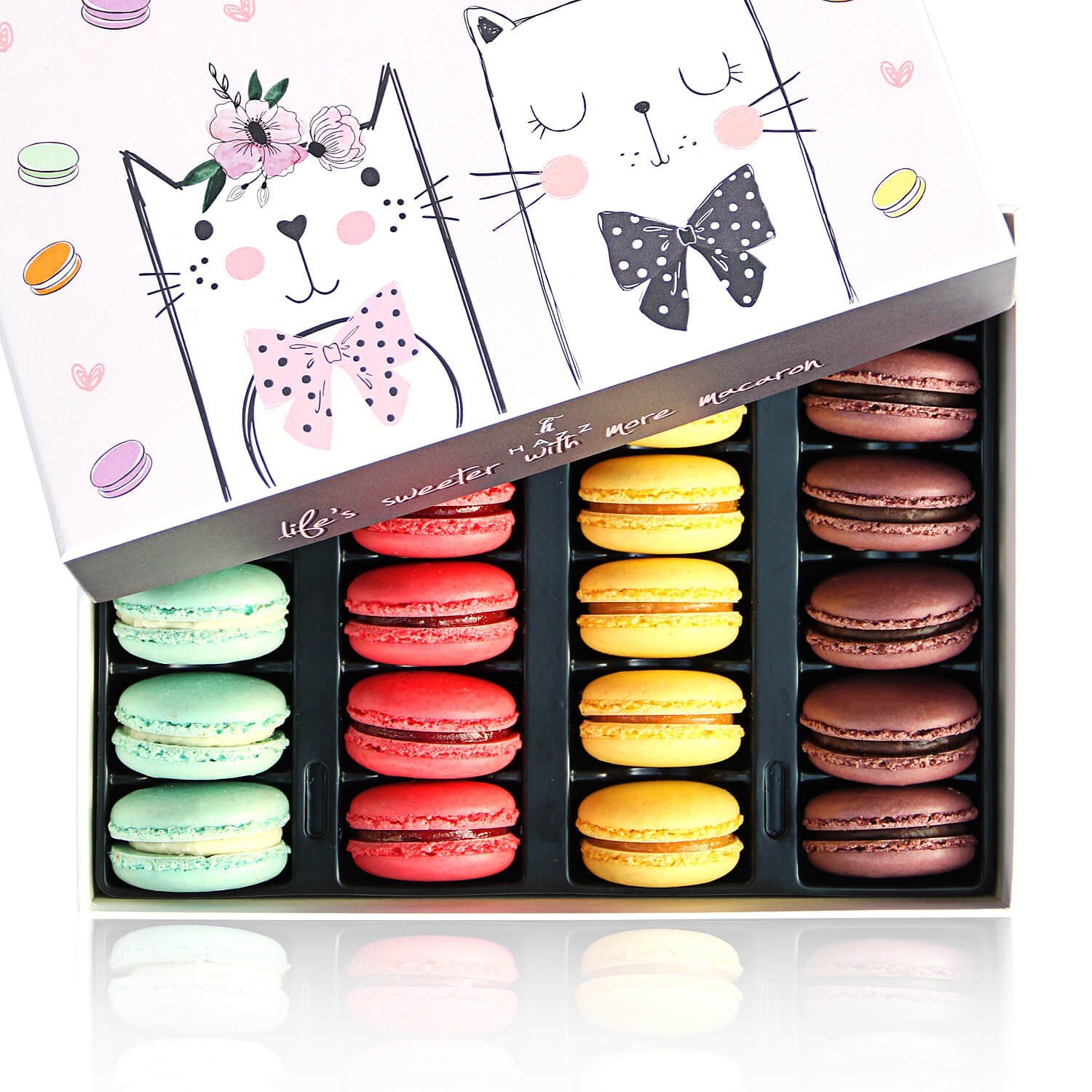 Kedili Kutuda Makaron (24 Adet) Hindistan Cevizi-Frambuaz-Limon