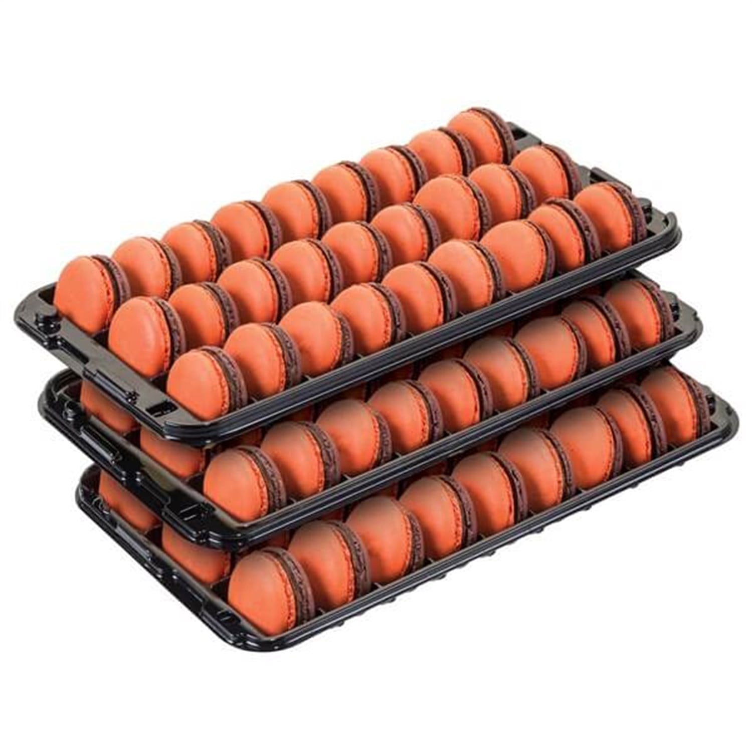 Kan Portakallı Makaron Kutusu (81 Adet)