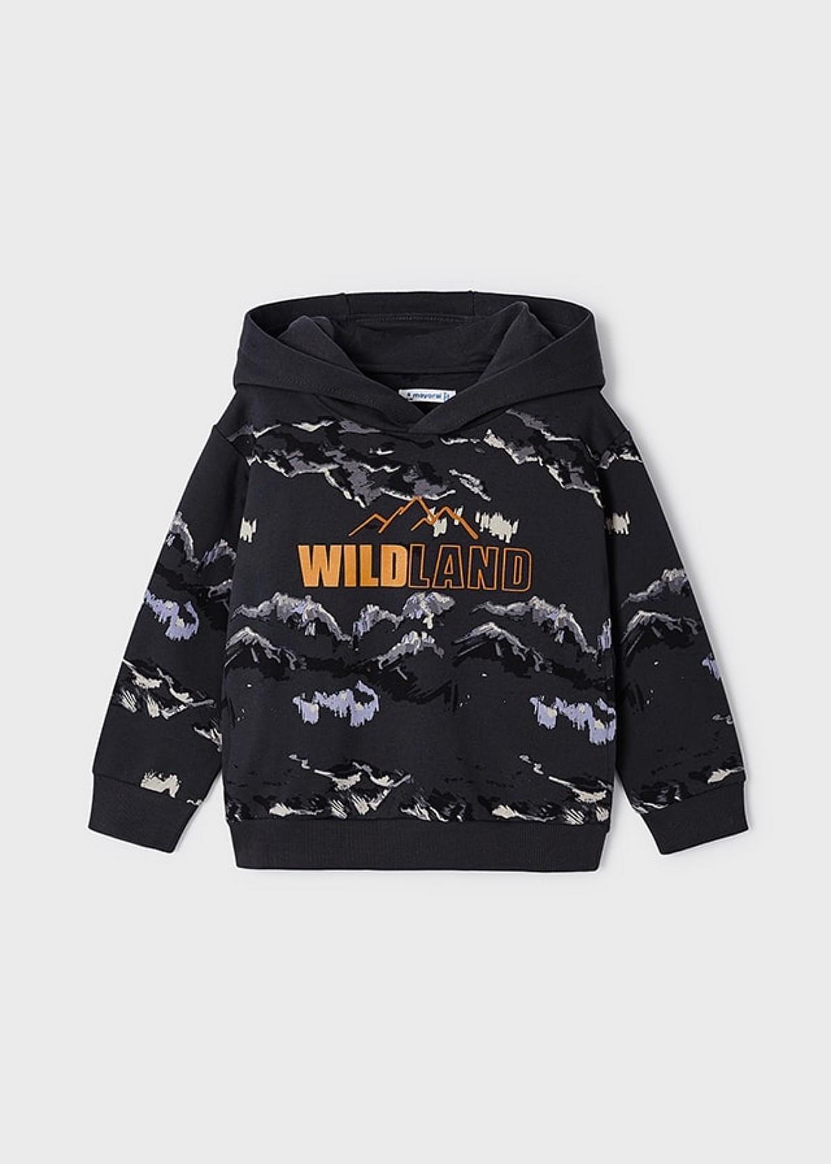 2-9 Yaş Erkek Çocuk Kapşonlu Sweatshirt