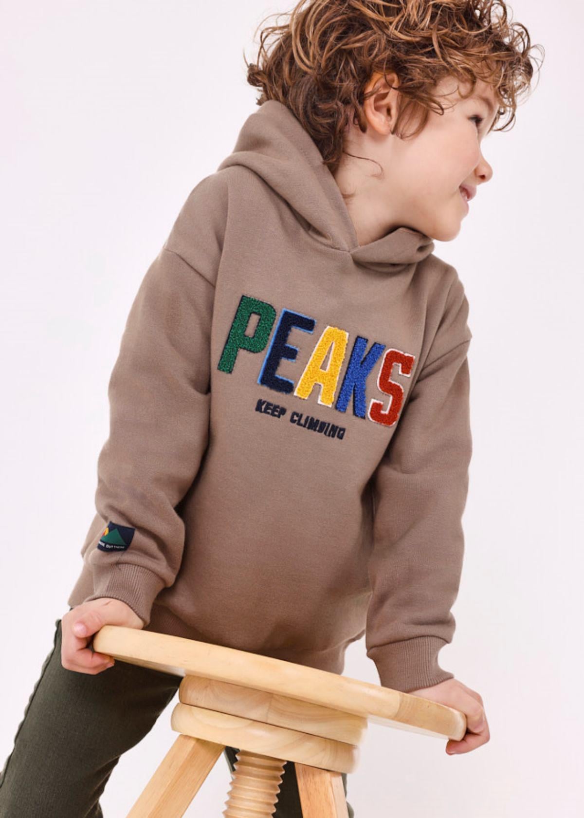 2-9 Yaş Erkek Çocuk Kapşonlu Sweatshirt