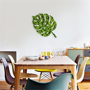 DBM1010SaksıhaneMonstera Deve Tabanı Desenli Yosun Duvar