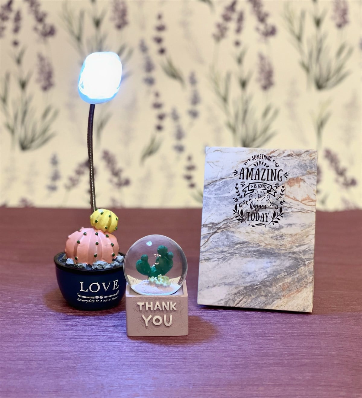  Kişiye Özel Amazing Mini Albüm Kaktüs Masa Lambası Ve Mini Kaktüs Kar Küresi Set GiftmodaGmhs100076