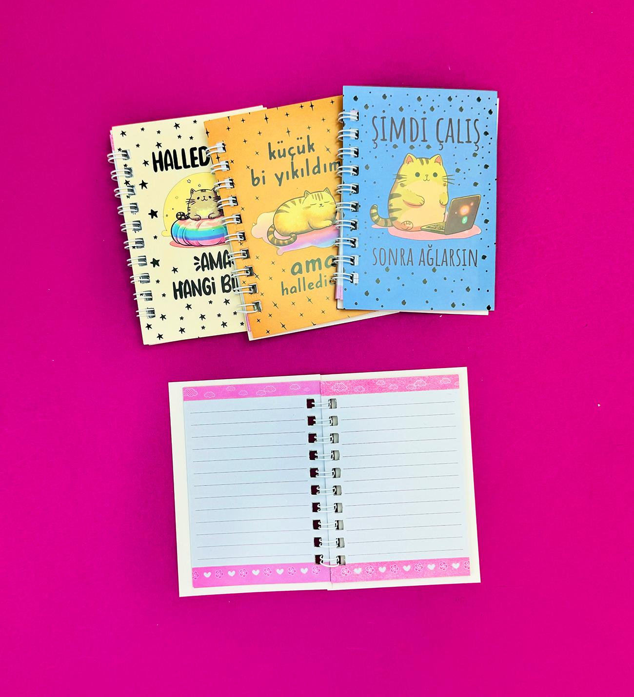 Mini 4'lü Kedili Spiralli Defter giftmodaBM-1249