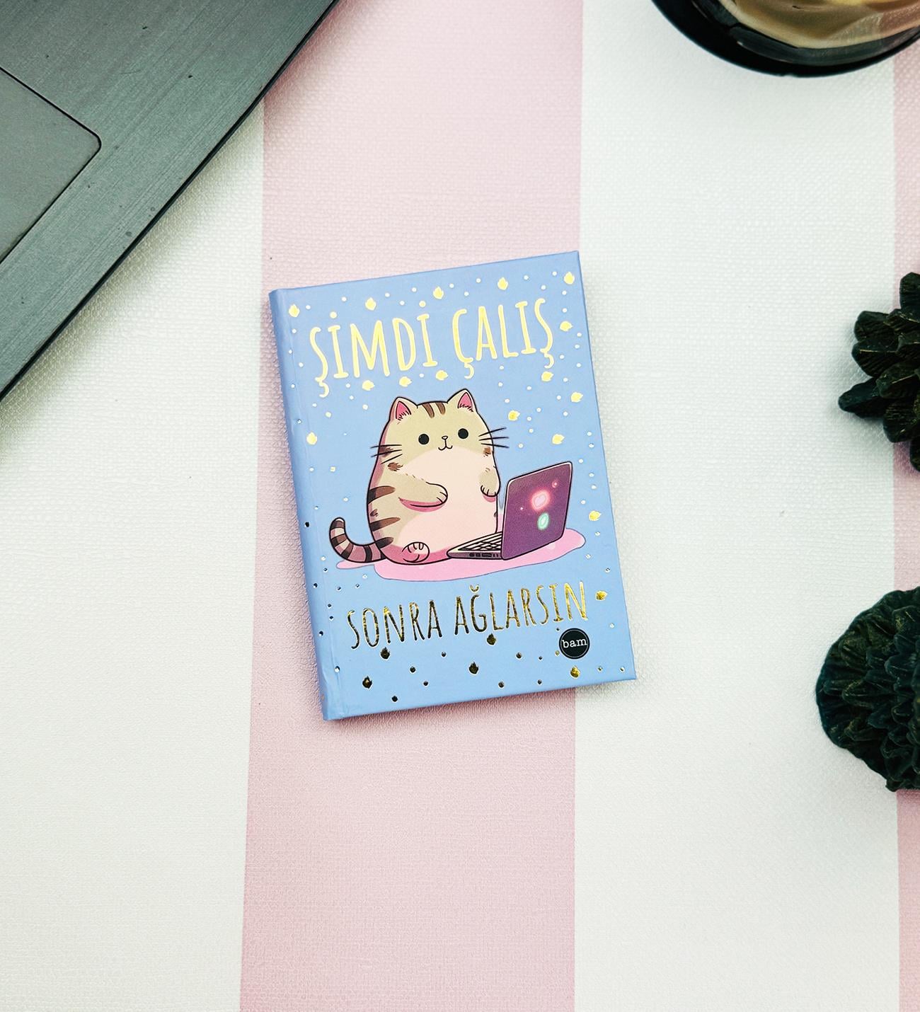 Şimdi Çalış Sonra Ağlarsın V2 Tasarımlı Sert Kapaklı Mini DeftergiftmodaBam-1228-1