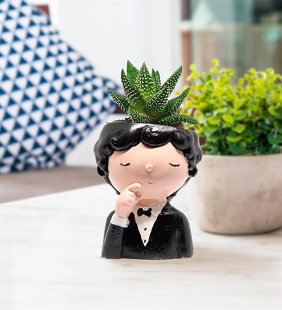 Dekoratif Damat Mini Saksı