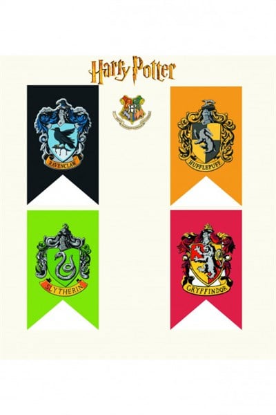 Harry Potter Okul Bayrak Setleri